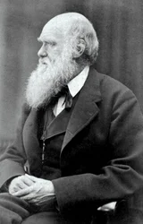 Karol Darwin, 1875 r